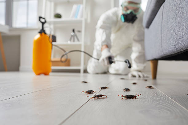 Commercial Kitchen Cockroach Control in Tariffville